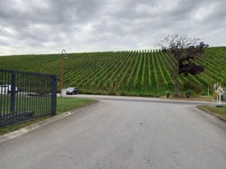 Ainés au Luxembourg 15 