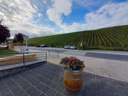  Ainés au Luxembourg 21 